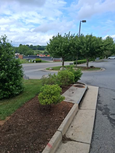 Landscape bed after cleaning