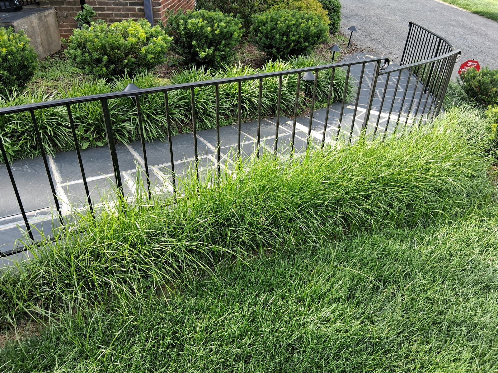 Overgrown walkway bed before service