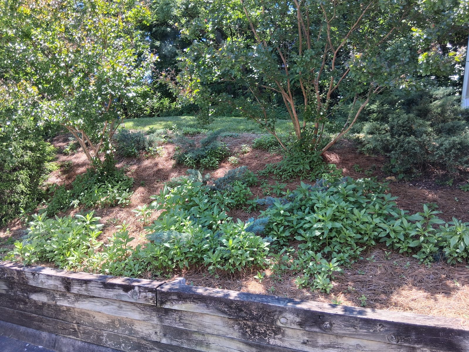 Retaining wall bed before service