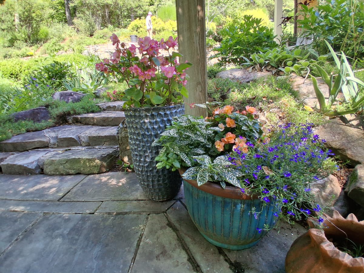 Finished containers and stone path detail
